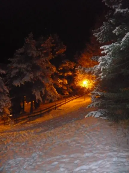 Vue de nuit