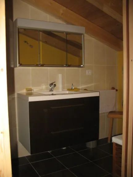Extension laying out: new bathroom