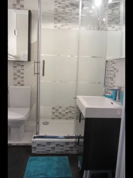 salle de bains récente avec douche ,wc