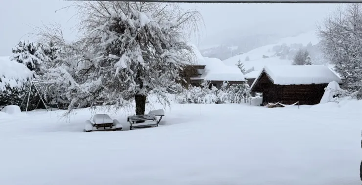 Winter garden