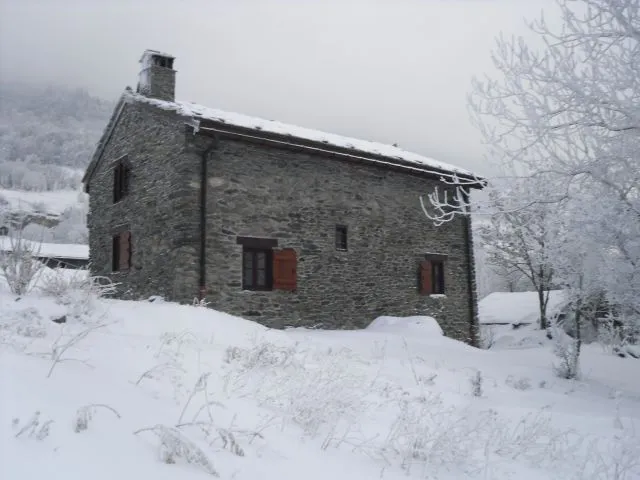 Sous la neige