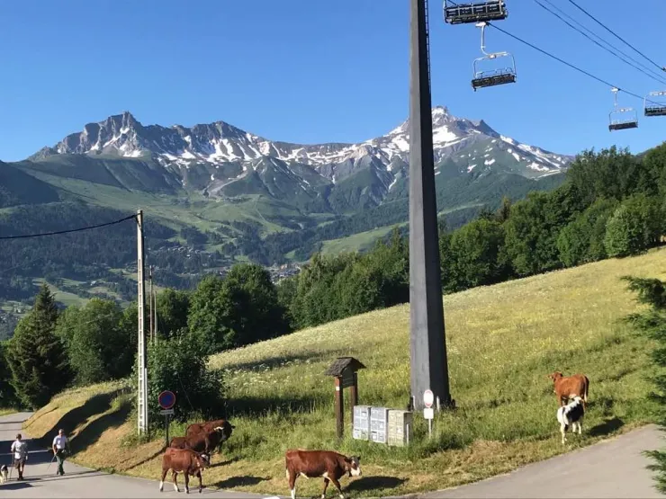 VUE DU CHALET L'ETE