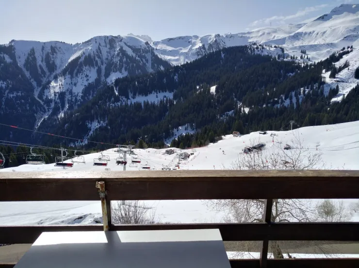 Vue sur les pistes