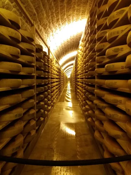 Les caves à Comté du fort des Rousses