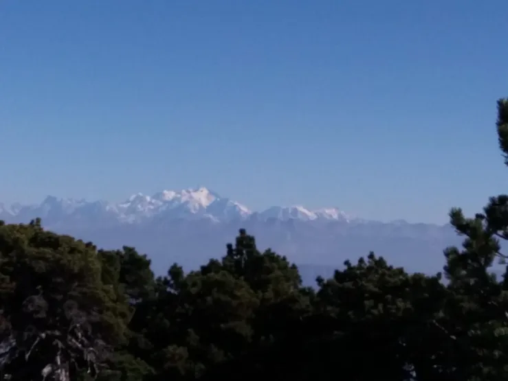 Le Mont Blanc depuis le Crêt de la neige