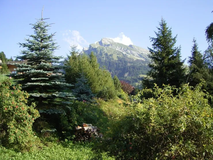 South view from the terrace on the Etale mountain - summer