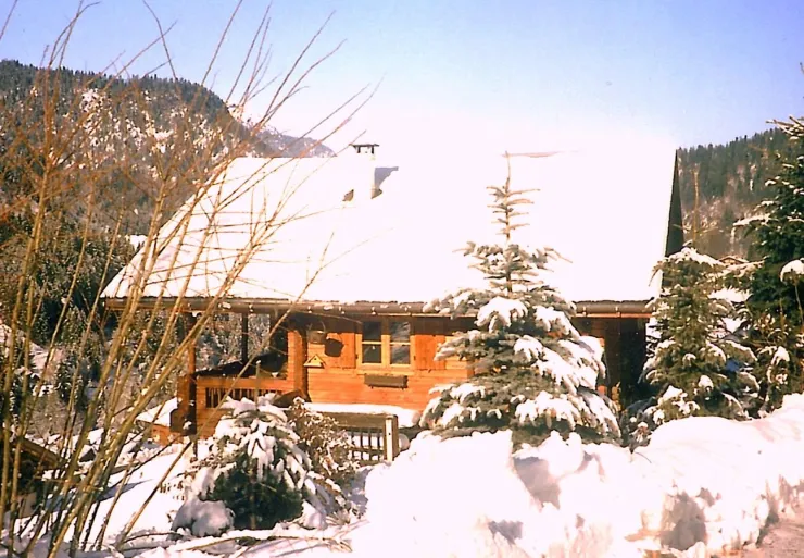 Winter view