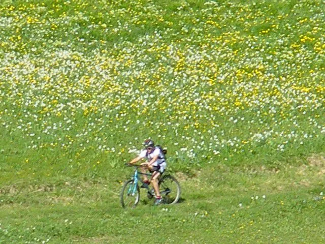 VTT à l'Aiguillon; des circuits tous niveaux, balisés FFC et pistes permettent à tous de profiter des magnifiques paysages.