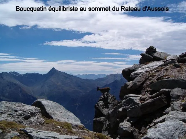 Boucquetin in a delicate situation crossed during the ascent of the Rateau d'Aussois
