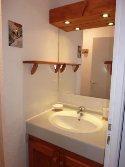 Salle d'eau avec douche, radiateur sèche-serviettes, et placard sous lavabo.