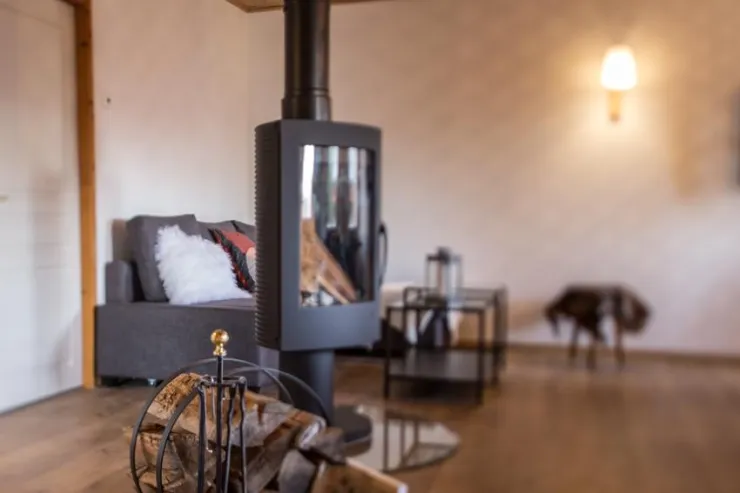 living room with wood burning stove (wood offered)