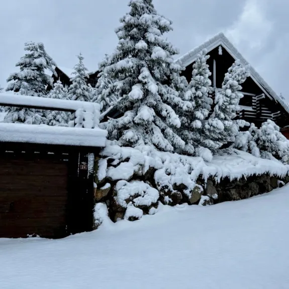  Chalet du Vieux Trappeur