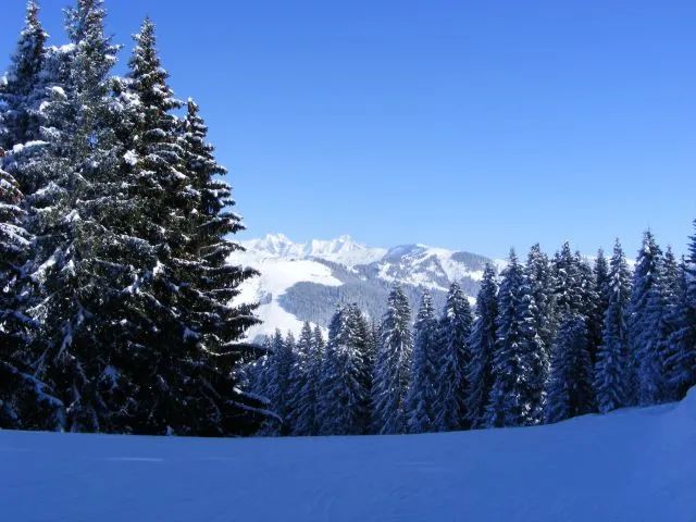 les pistes de ski