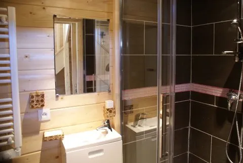 la salle de douche de la chambre du bas avec un toilette et une vasque