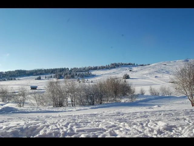 Vue prise de la terrasse/balcon sur la forêt des rennes avec légèrement sur la droite hors photo le Mont Bizanne.