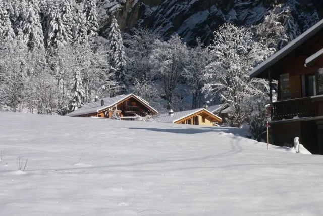 "Le petit chalet", the clear one, near the sledge park and departure for the slopes with your skis on !!