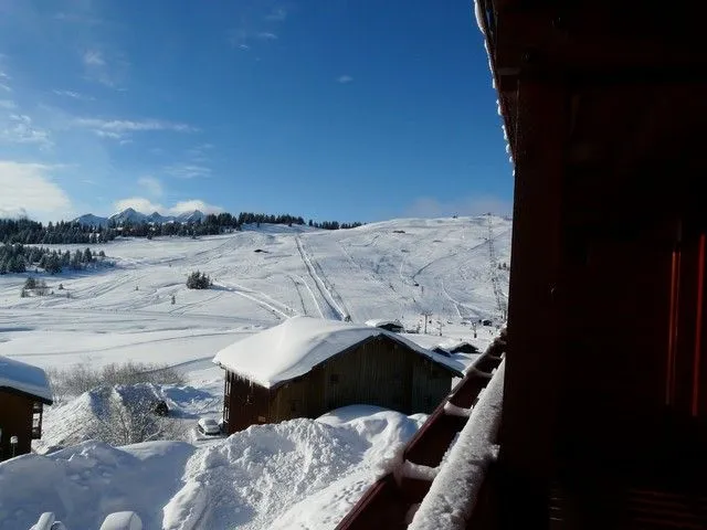Vue du balcon, vers les pistes