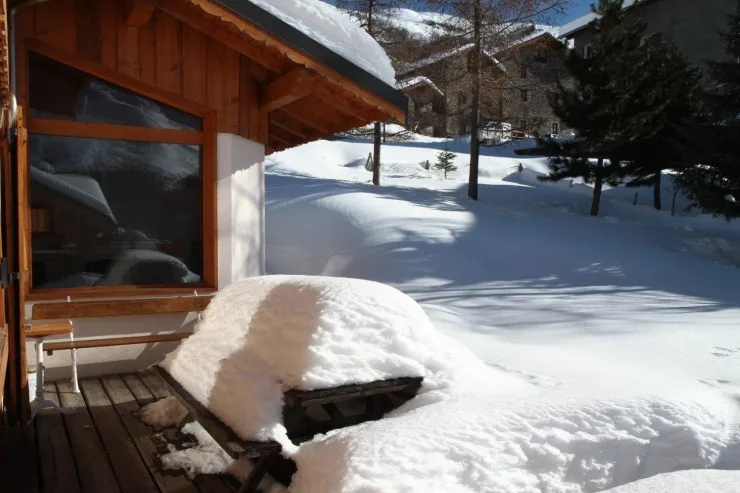 le jardin sous la neige