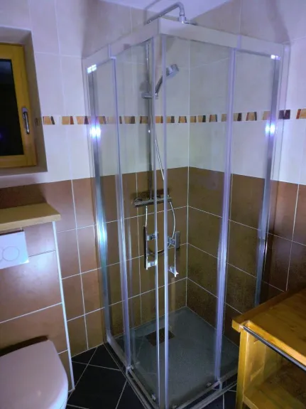Salle de bain du niveau 1 avec cabine douche et WC
