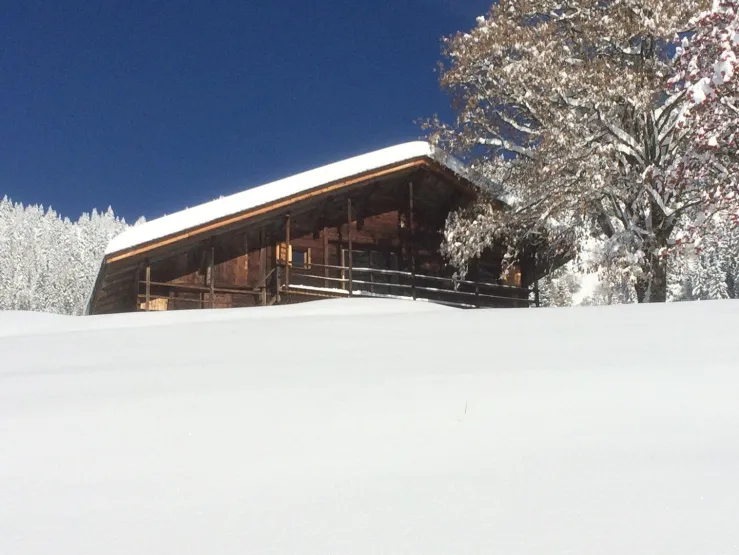 Ce superbe chalet d’alpage desservi par une route forestière goudronnée  en  été et situé à 2.5 km de la station des SAISIES, allie authenticité, charme et confort et convient à tous les amoureux de la montagne. 