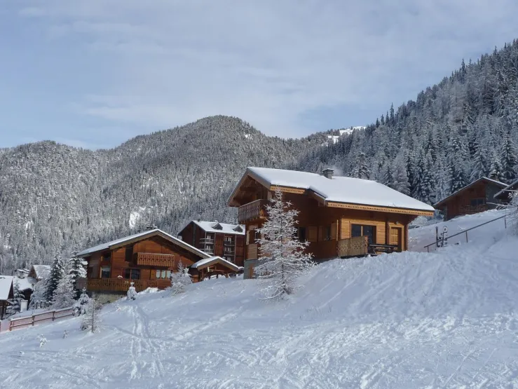 Chalet et son environnement