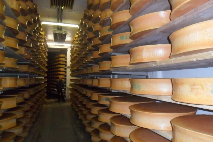 Visite de la fromagerie