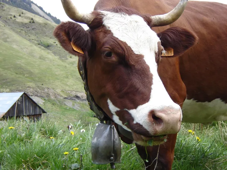 T'es belle !