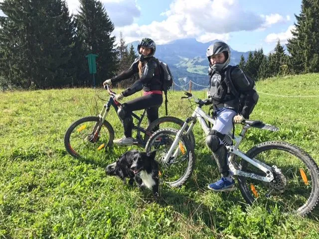 sur place : location VTT, VTT électrique, VTT descente, vélos cross