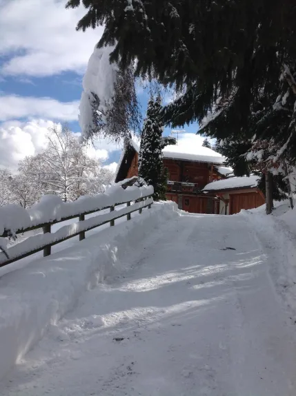 The chalet with the Mont Blanc
