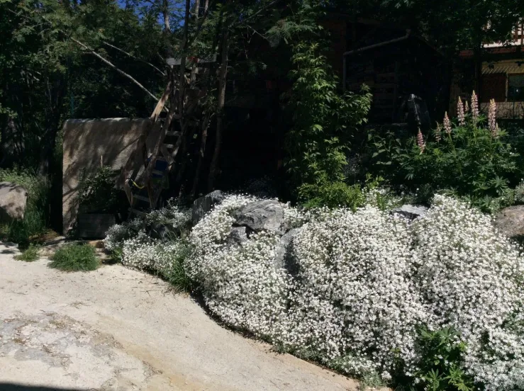 Jardin ete