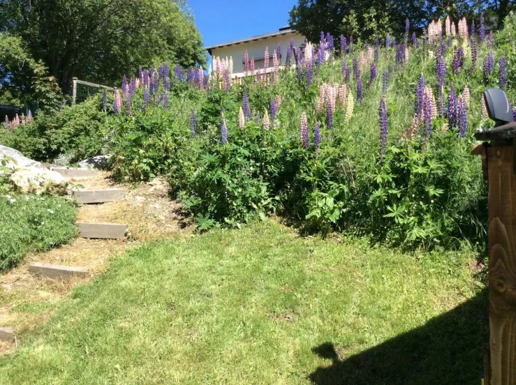 Jardin 