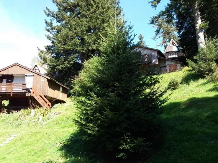 Summer near the chalet