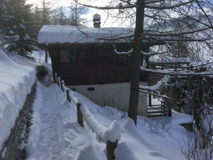 Chemin accès principal au chalet