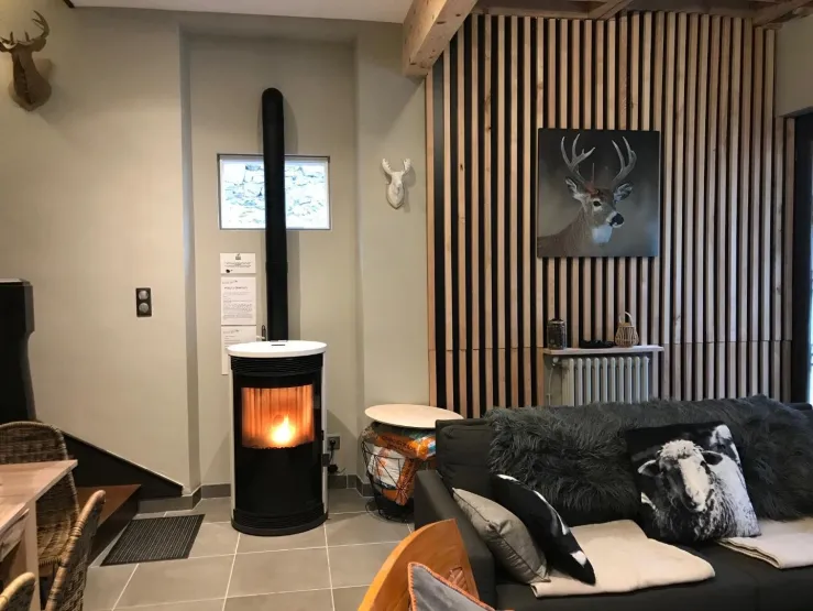Her "Ecoforest" pellet stove for a small flambé