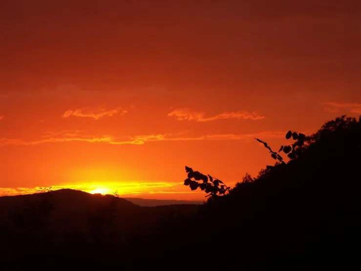 Coucher de soleil estival.