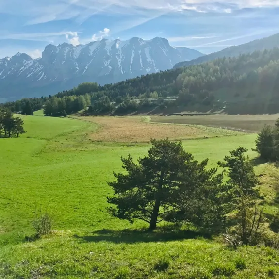 Vue du chalet l'été