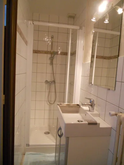 Bathroom 2: shower and toilet