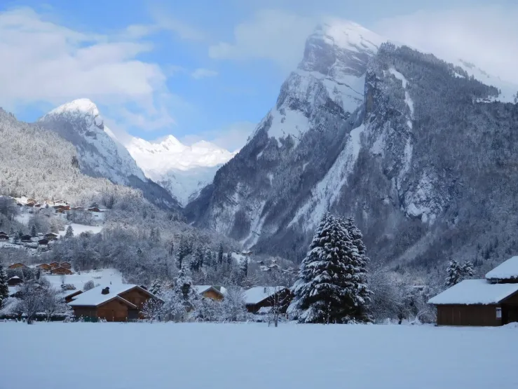 Le chalet à gauche du sapin (au centre), dans un cadre majestueux.