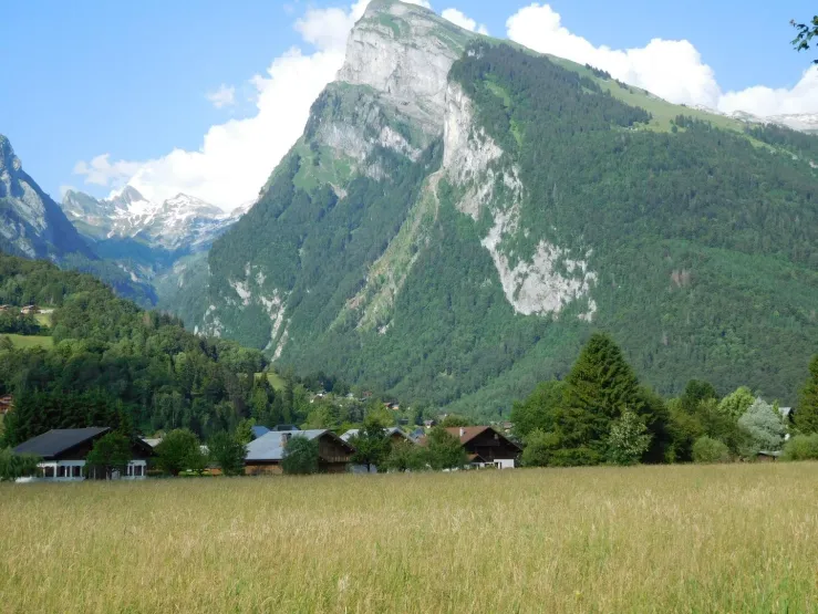 Eté - le chalet  sur une vue générale
