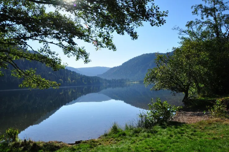 Le lac de Longemer en été , superbe !