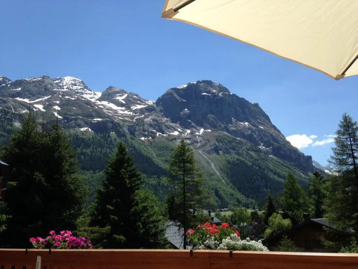 vue de la terrasse l'été