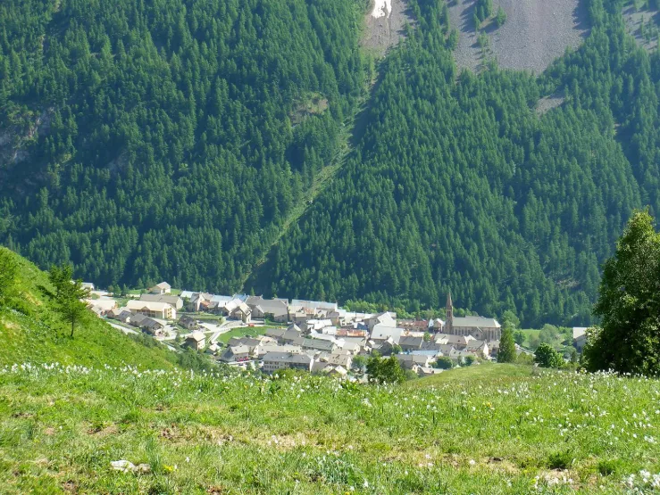 Villar d'Arène au milieu des narcisses