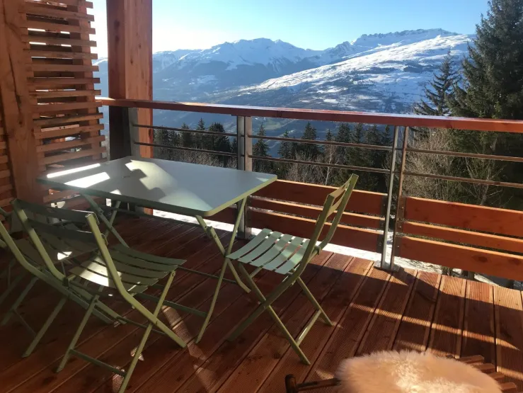 2 belles terrasses, accès salon et accès chambre