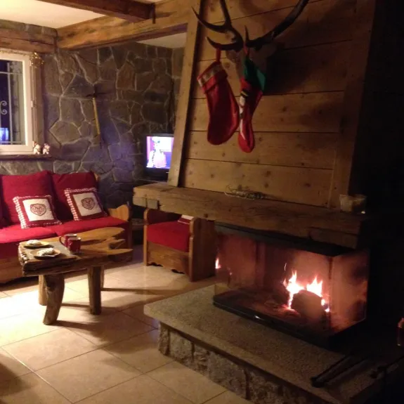 Salon avec cheminée et bois fourni