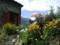 le jardin