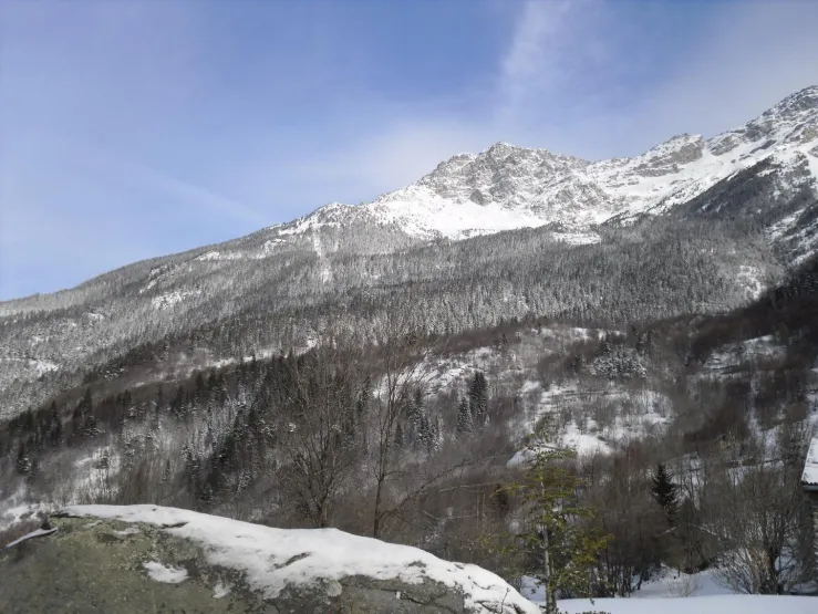 vue en hiver