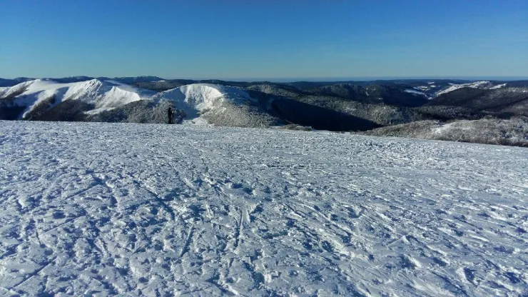 Les sommets, haut de la piste " La Duchesse ", Domaine de Vologne à La Bresse ( la plus belle station du massif avec Gérardmer ) à 7 km du chalet