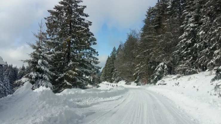 Vue d'un paysage d'hiver..