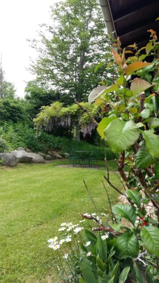 Le jardin,