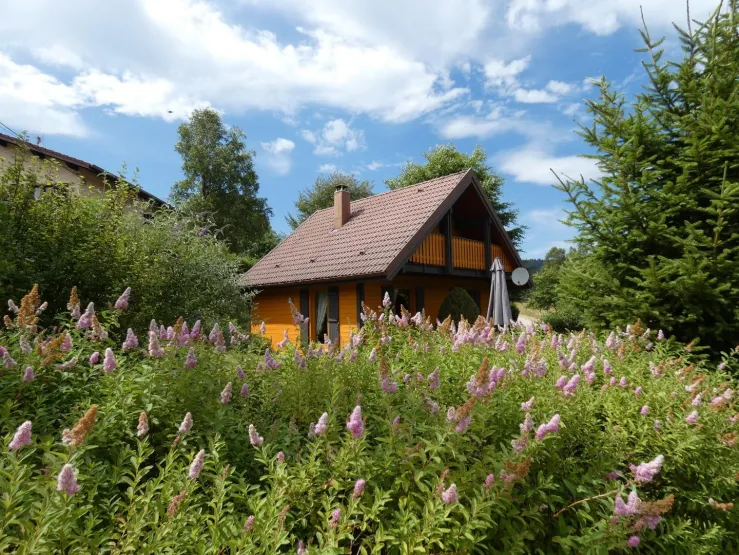 Vue du chalet depuis la route des Relles Gouttes en été,